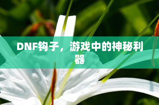 DNF钩子,游戏中的神秘利器 DNF钩子,游戏中的神秘利器