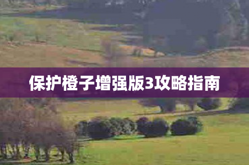 保护橙子增强版3攻略指南