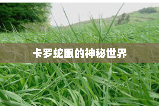 卡罗蛇眼的神秘世界 卡罗蛇眼的神秘世界
