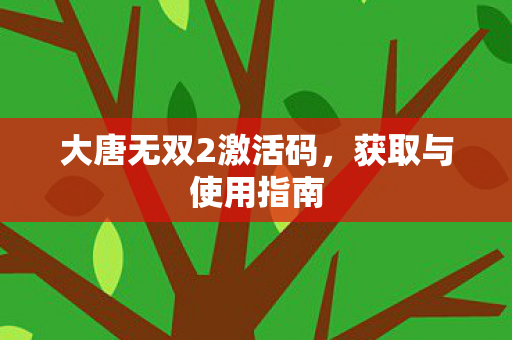 大唐无双2激活码,获取与使用指南 大唐无双2激活码,获取与使用指南