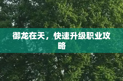 御龙在天,快速升级职业攻略 御龙在天,快速升级职业攻略