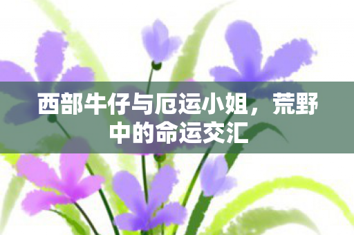 西部牛仔与厄运小姐，荒野中的命运交汇