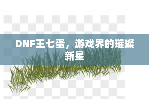 DNF王七蛋，游戏界的璀璨新星