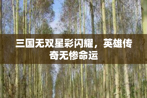 三国无双星彩闪耀,英雄传奇无惨命运 三国无双星彩闪耀,英雄传奇无惨命运