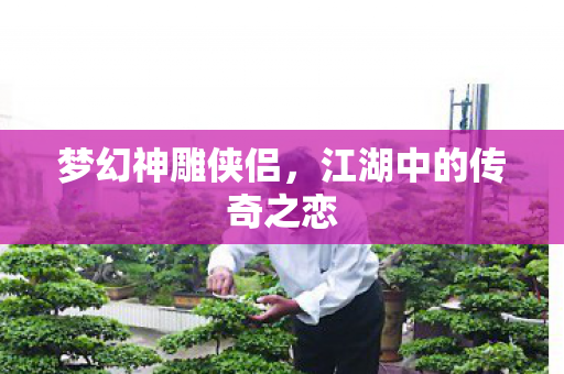 梦幻神雕侠侣,江湖中的传奇之恋 梦幻神雕侠侣,江湖中的传奇之恋