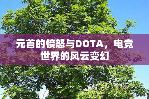 元首的愤怒与DOTA，电竞世界的风云变幻