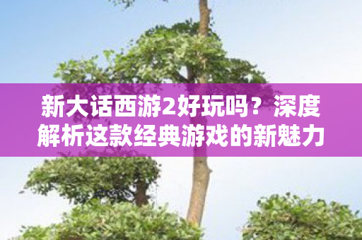 新大话西游2好玩吗?深度解析这款经典游戏的新魅力 新大话西游2好玩吗?深度解析这款经典游戏的新魅力