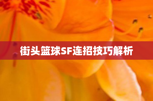 街头篮球SF连招技巧解析 街头篮球SF连招技巧解析