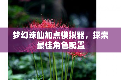 梦幻诛仙加点模拟器，探索最佳角色配置