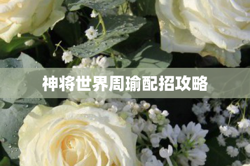 神将世界周瑜配招攻略