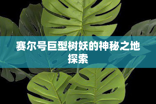 赛尔号巨型树妖的神秘之地探索 赛尔号巨型树妖的神秘之地探索