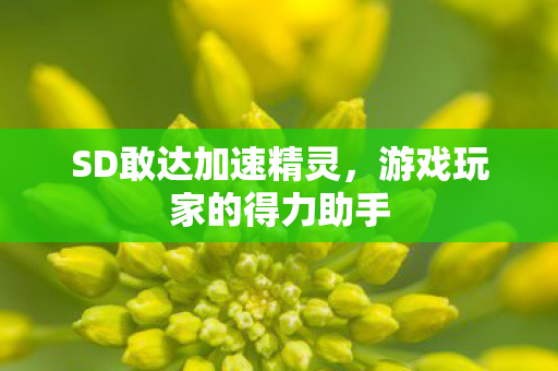 SD敢达加速精灵,游戏玩家的得力助手 SD敢达加速精灵,游戏玩家的得力助手