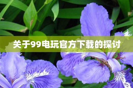 关于99电玩官方下载的探讨