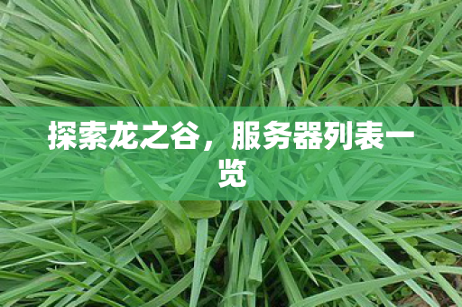 探索龙之谷,服务器列表一览 探索龙之谷,服务器列表一览
