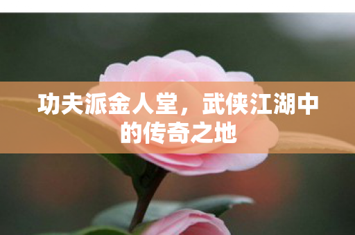功夫派金人堂,武侠江湖中的传奇之地 功夫派金人堂,武侠江湖中的传奇之地