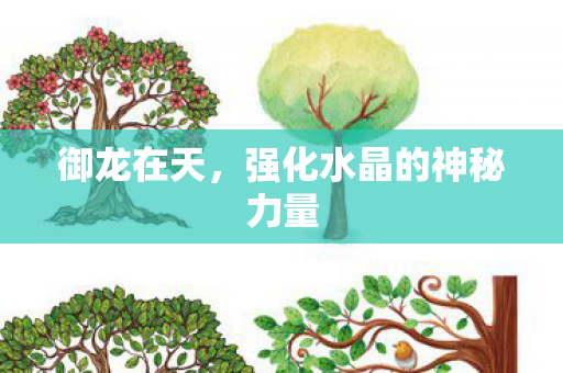 御龙在天，强化水晶的神秘力量