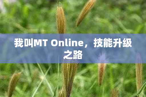 我叫MT Online，技能升级之路