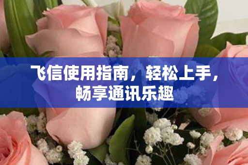 飞信使用指南，轻松上手，畅享通讯乐趣