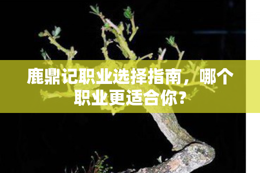 鹿鼎记职业选择指南，哪个职业更适合你？