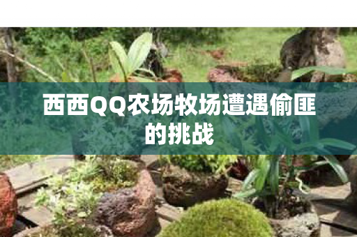 西西QQ农场牧场遭遇偷匪的挑战