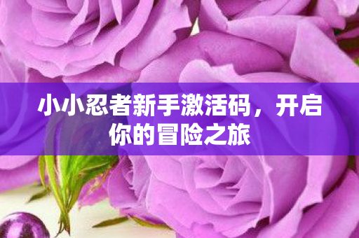 小小忍者新手激活码,开启你的冒险之旅 小小忍者新手激活码,开启你的冒险之旅