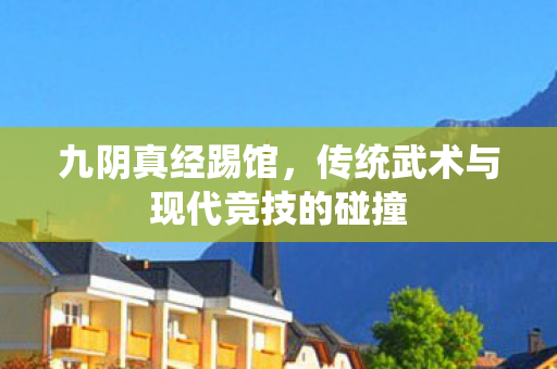 九阴真经踢馆,传统武术与现代竞技的碰撞 九阴真经踢馆,传统武术与现代竞技的碰撞