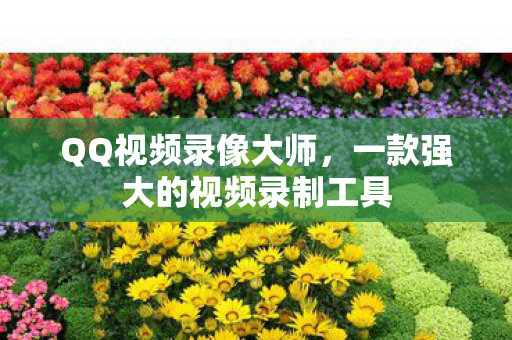 QQ视频录像大师,一款强大的视频录制工具 QQ视频录像大师,一款强大的视频录制工具