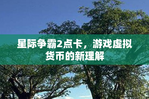 星际争霸2点卡,游戏虚拟货币的新理解 星际争霸2点卡,游戏虚拟货币的新理解