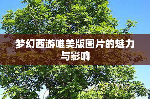 梦幻西游唯美版图片的魅力与影响 梦幻西游唯美版图片的魅力与影响