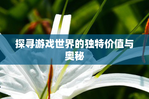 探寻游戏世界的独特价值与奥秘
