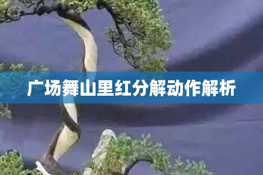广场舞山里红分解动作解析