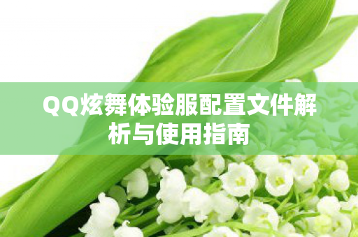 QQ炫舞体验服配置文件解析与使用指南