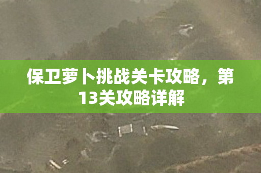 保卫萝卜挑战关卡攻略,第13关攻略详解 保卫萝卜挑战关卡攻略,第13关攻略详解