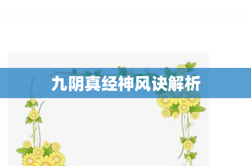 九阴真经神风诀解析 九阴真经神风诀解析