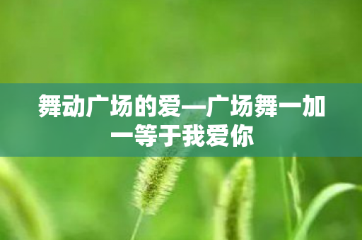 舞动广场的爱—广场舞一加一等于我爱你 舞动广场的爱—广场舞一加一等于我爱你