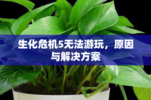 生化危机5无法游玩,原因与解决方案 生化危机5无法游玩,原因与解决方案