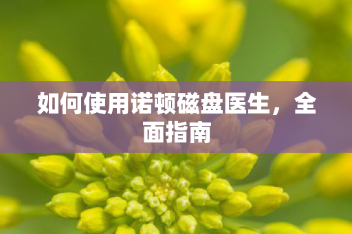 如何使用诺顿磁盘医生,全面指南 如何使用诺顿磁盘医生,全面指南