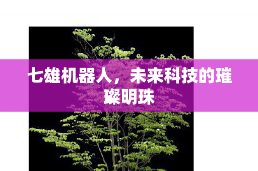 七雄机器人,未来科技的璀璨明珠 七雄机器人,未来科技的璀璨明珠
