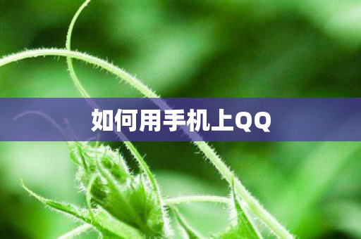 如何用手机上QQ