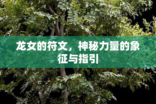 龙女的符文,神秘力量的象征与指引 龙女的符文,神秘力量的象征与指引