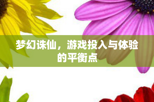 梦幻诛仙,游戏投入与体验的平衡点 梦幻诛仙,游戏投入与体验的平衡点