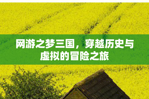 网游之梦三国,穿越历史与虚拟的冒险之旅 网游之梦三国,穿越历史与虚拟的冒险之旅