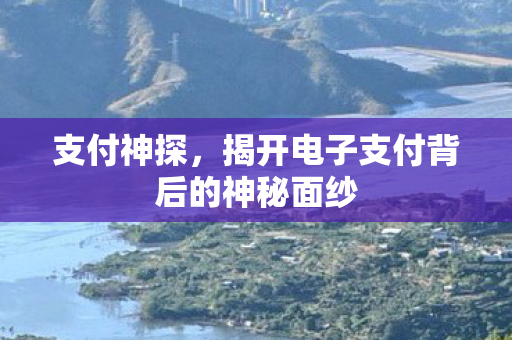 支付神探,揭开电子支付背后的神秘面纱 支付神探,揭开电子支付背后的神秘面纱