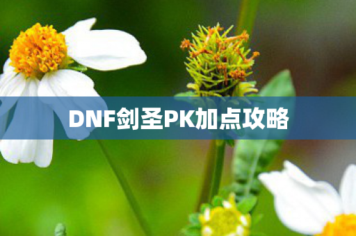 DNF剑圣PK加点攻略 DNF剑圣PK加点攻略