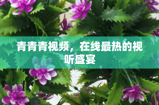 青青青视频,在线最热的视听盛宴 青青青视频,在线最热的视听盛宴