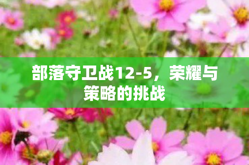 部落守卫战12-5，荣耀与策略的挑战