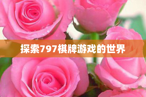 探索797棋牌游戏的世界