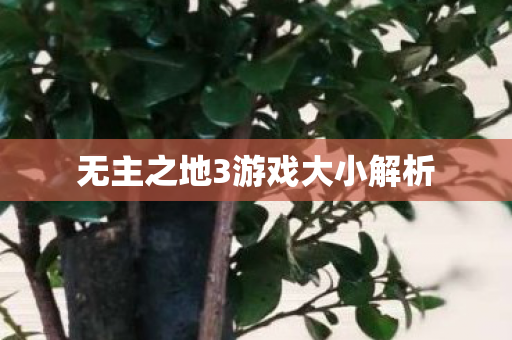 无主之地3游戏大小解析 无主之地3游戏大小解析