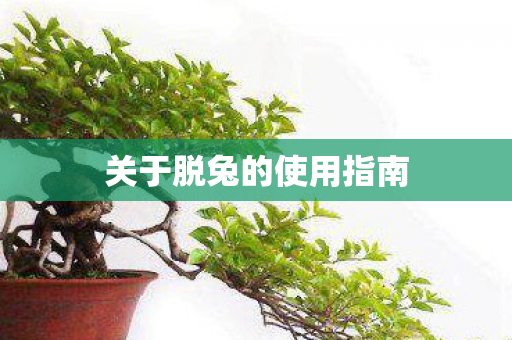 关于脱兔的使用指南 关于脱兔的使用指南