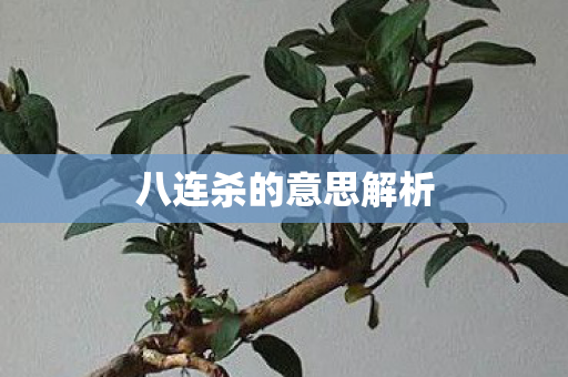 八连杀的意思解析